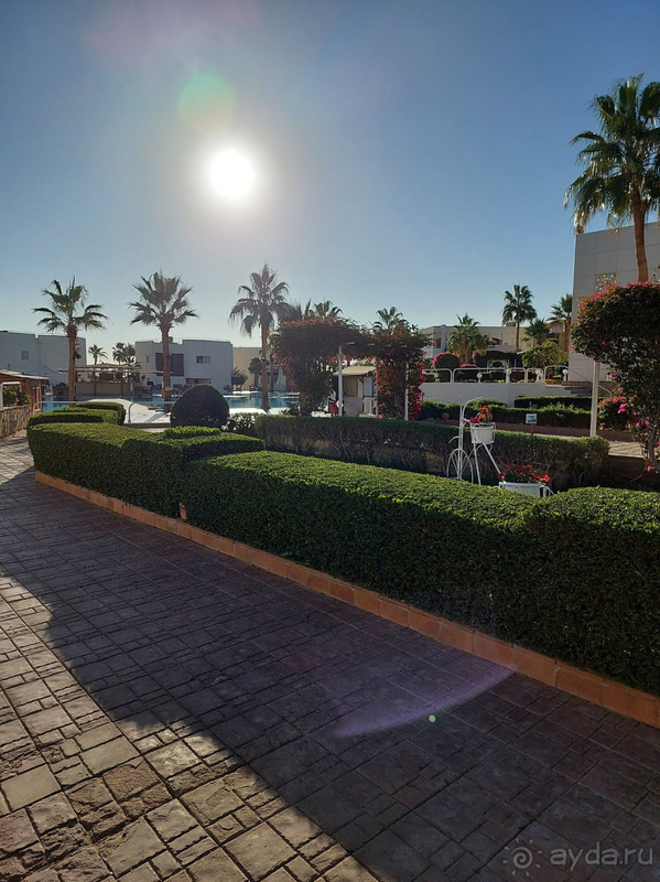 фото Sharm Reef Hotel