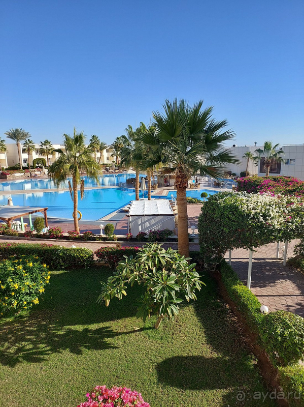фото Sharm Reef Hotel
