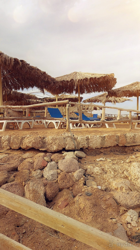 фото Sharm Reef Hotel
