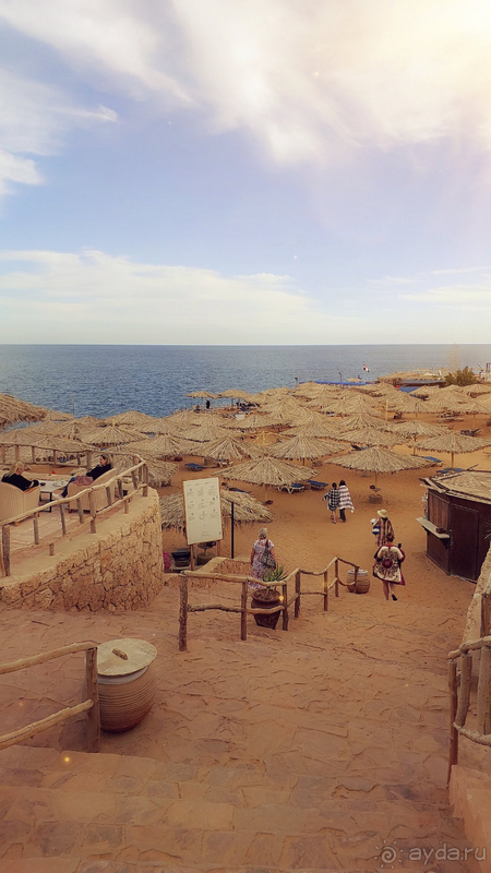 фото Sharm Reef Hotel