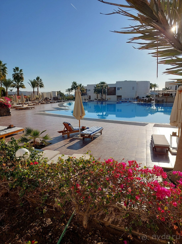 фото Sharm Reef Hotel