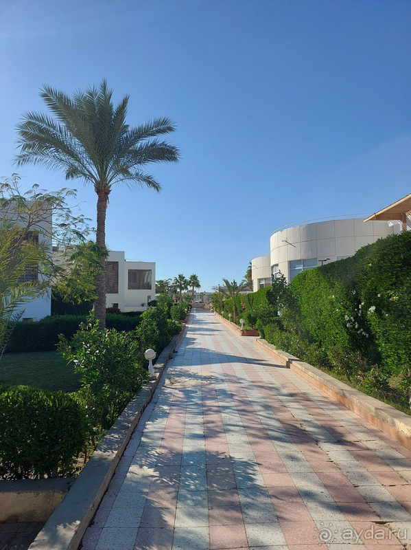 Очень довольны отдыхом в отеле.