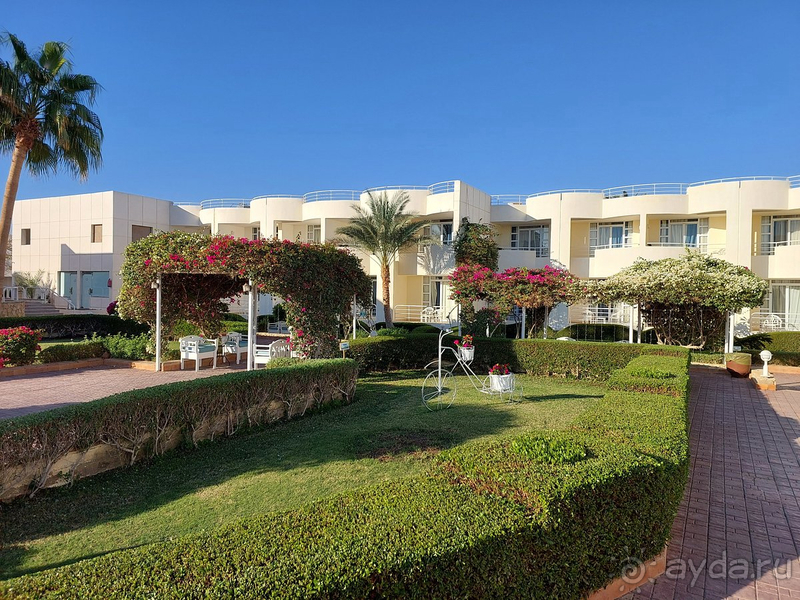 Очень довольны отдыхом в отеле.