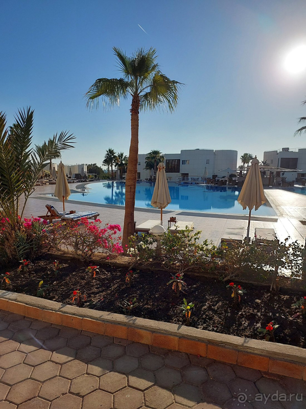 Очень довольны отдыхом в отеле.