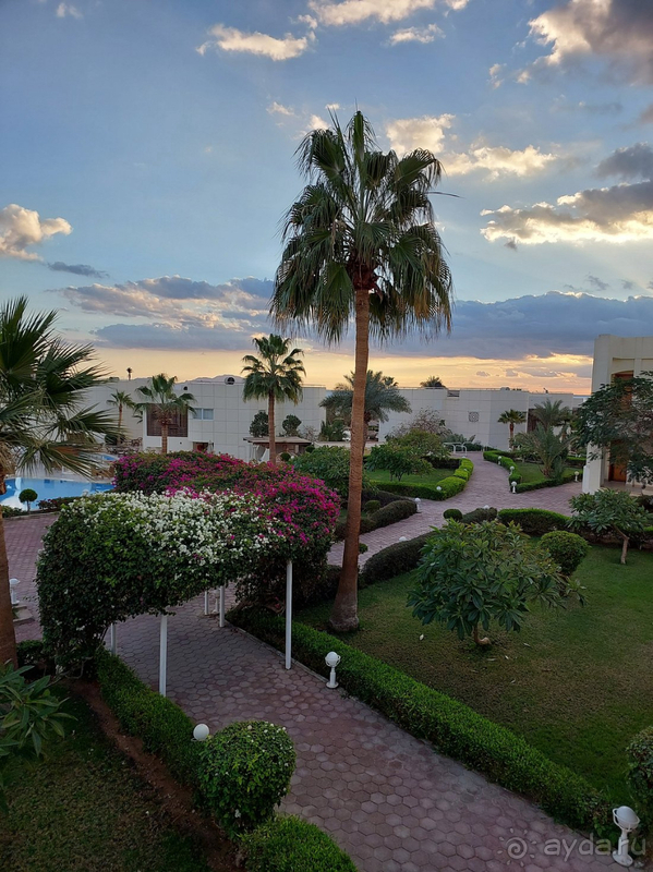 Очень довольны отдыхом в отеле.