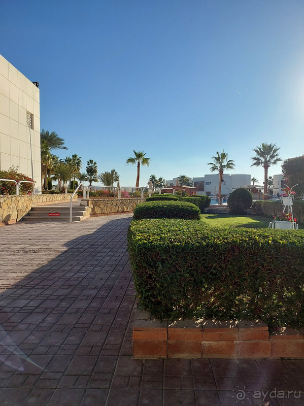 Очень довольны отдыхом в отеле. Очень довольны отдыхом в отеле.