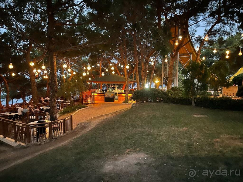 Рекомендую этот отель однозначно!