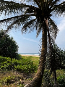 Твердая четверка!