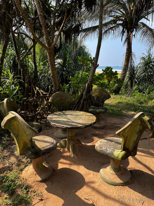 Твердая четверка!