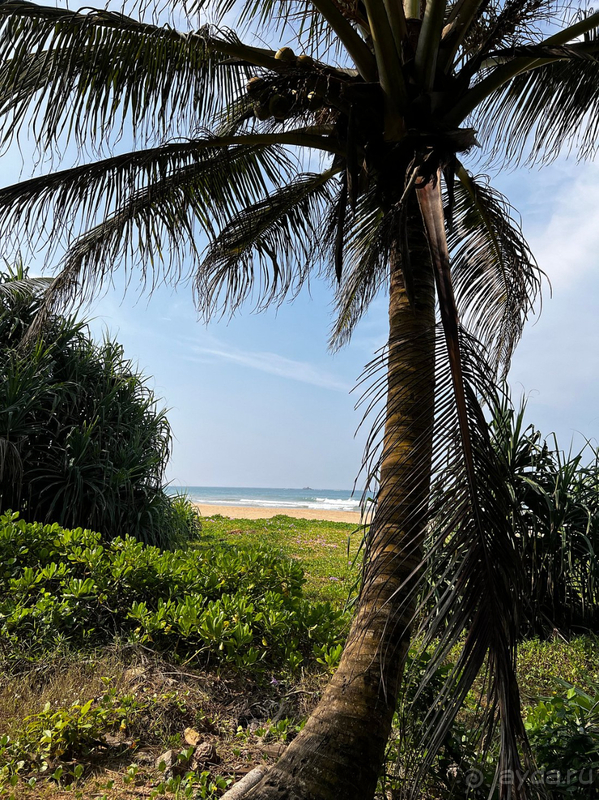 Твердая четверка!