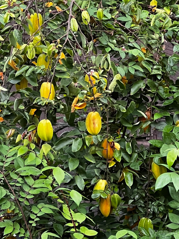 Твердая четверка!