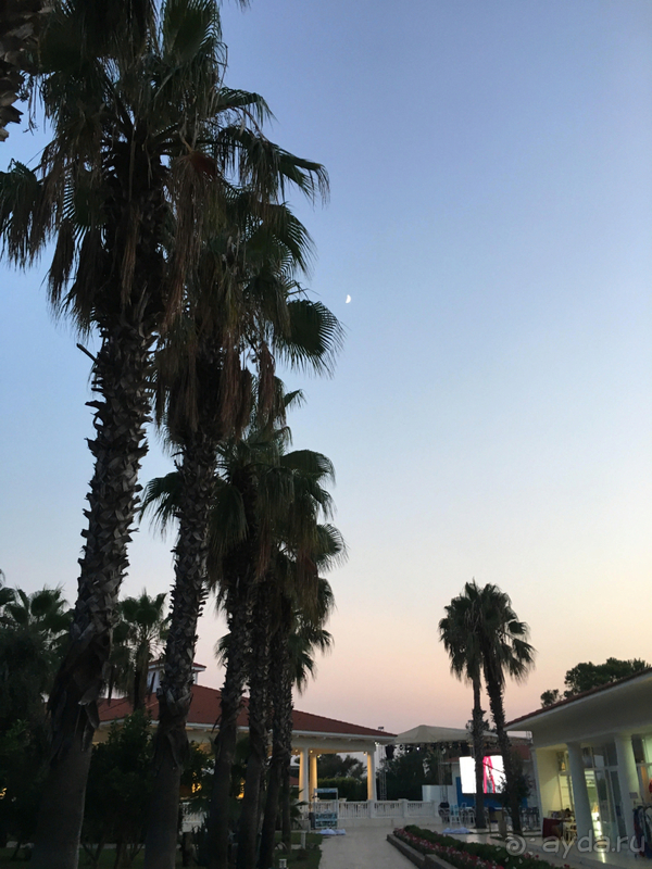 Вернёмся обязательно!