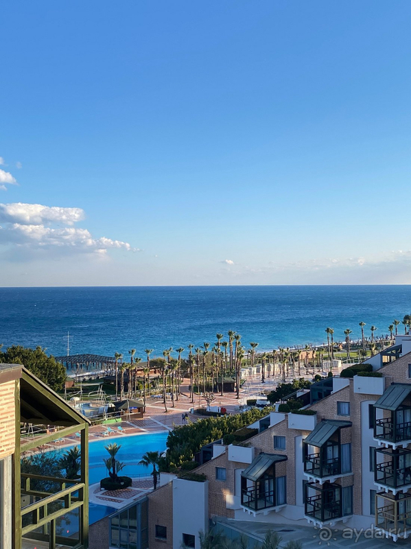 Рейтинг точно завышен