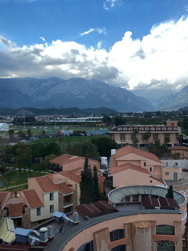 Рейтинг точно завышен