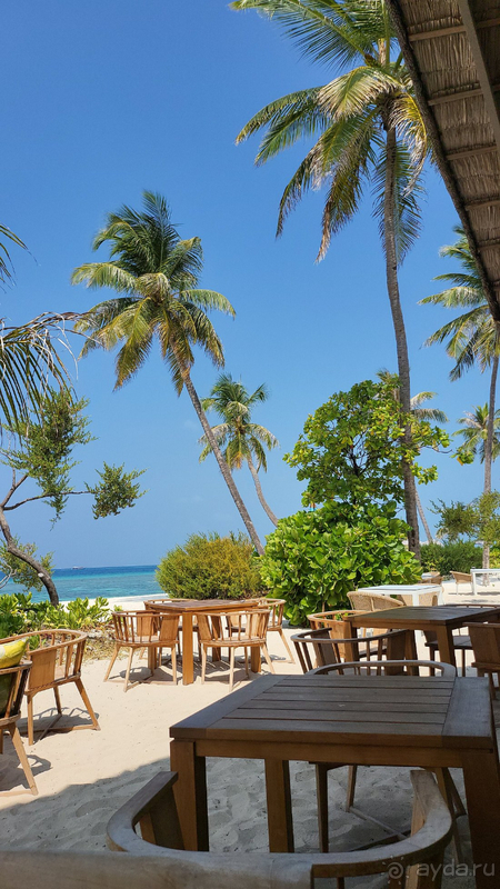 Рекомендую отель Cora Cora Maldives для уединения