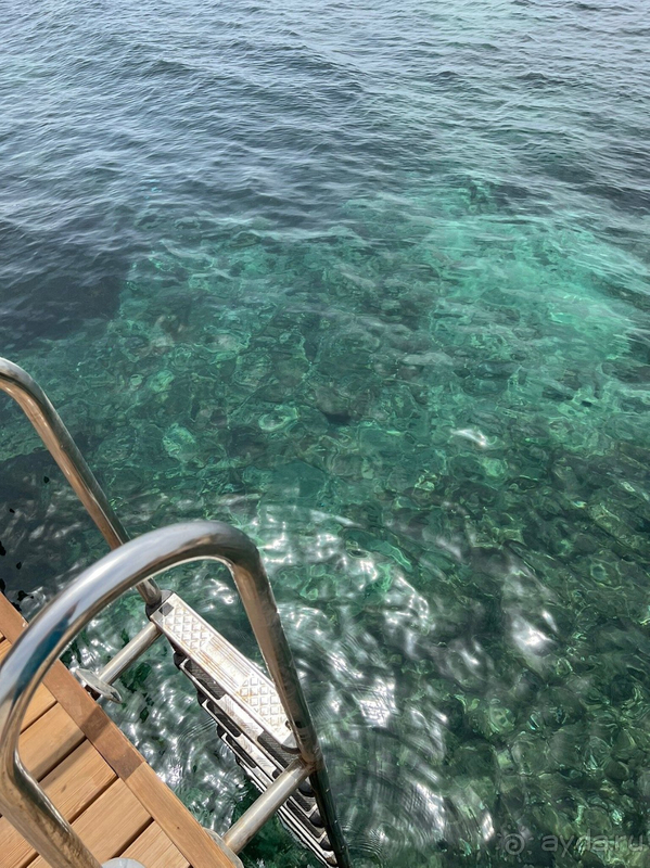 Шикарное место