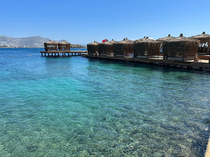 Шикарное место