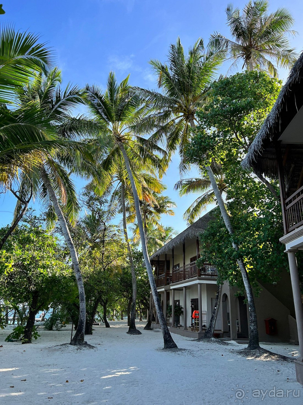 Отель в абсолютном мальдивианском стиле.