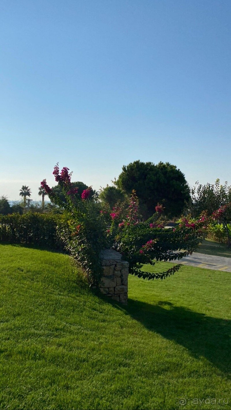 Мы влюбились в этот отель!