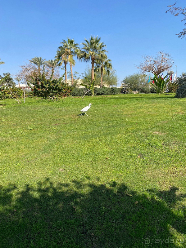 Это был суперский отдых!