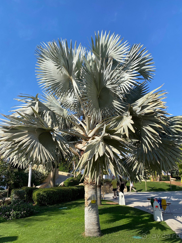 Это был суперский отдых!