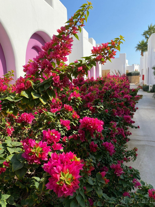 Это был суперский отдых!