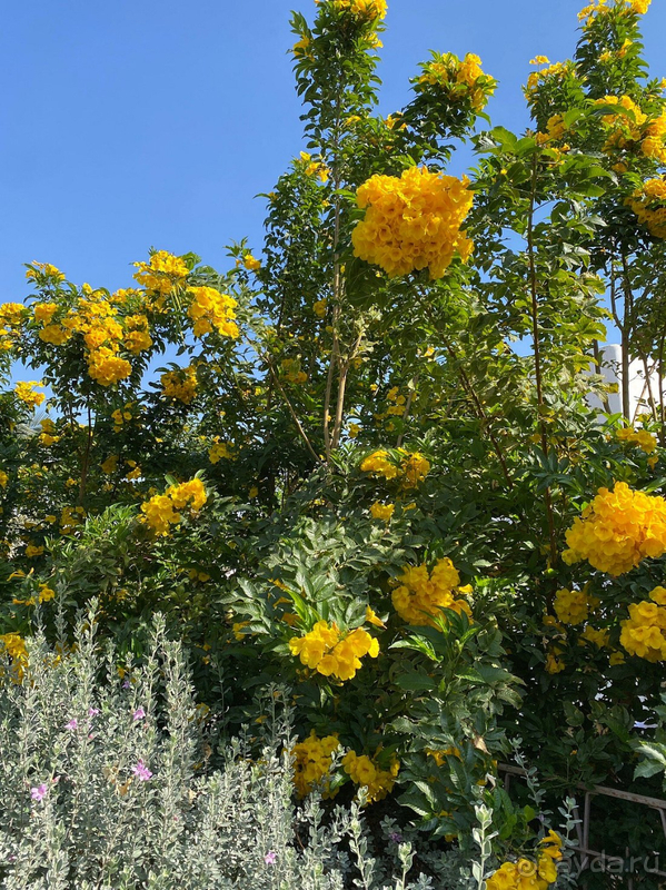 Это был суперский отдых!