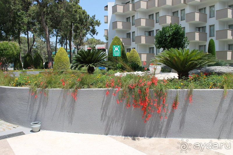 Отдых в Турции май 2022