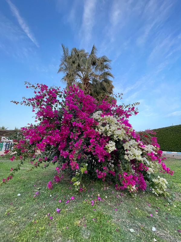 Отель рекомендую для релакса Отель рекомендую для релакса