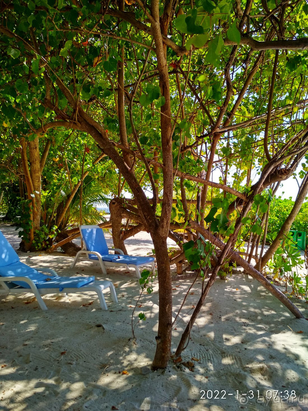 Спасибо Fihalhohi Island Resort за наш прекрасный отдых