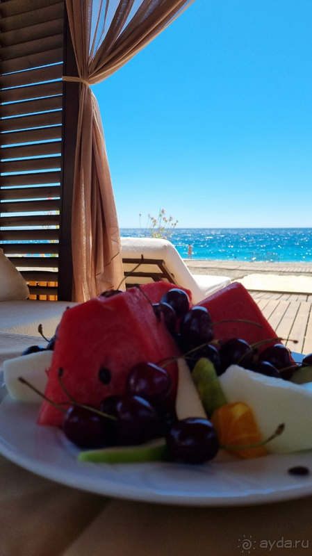 Alva Donna, спасибо за чудесный отдых!