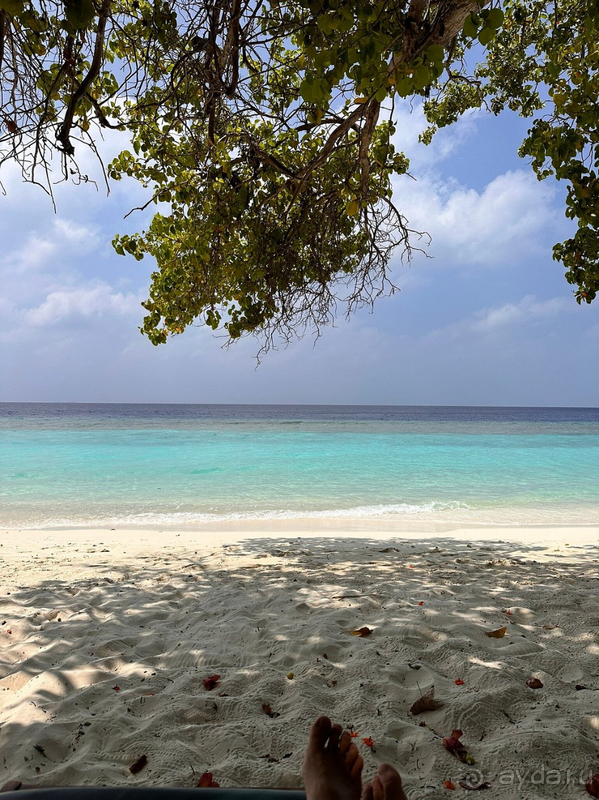 Я в восторге от Мальдив 