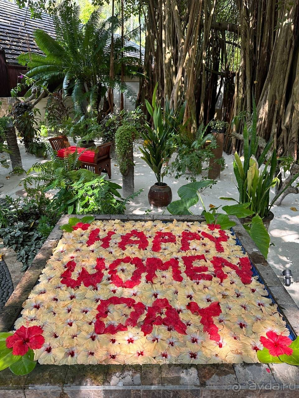 Я в восторге от Мальдив 