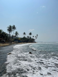 Отличный отель на Шри-Ланке на берегу океана