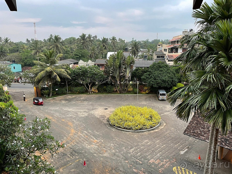 Отличный отель на Шри-Ланке на берегу океана