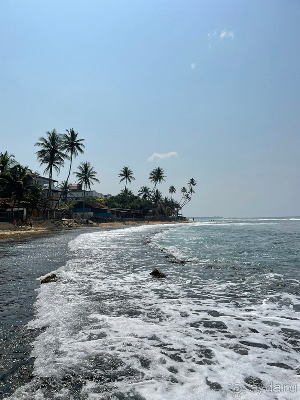 Отличный отель на Шри-Ланке на берегу океана