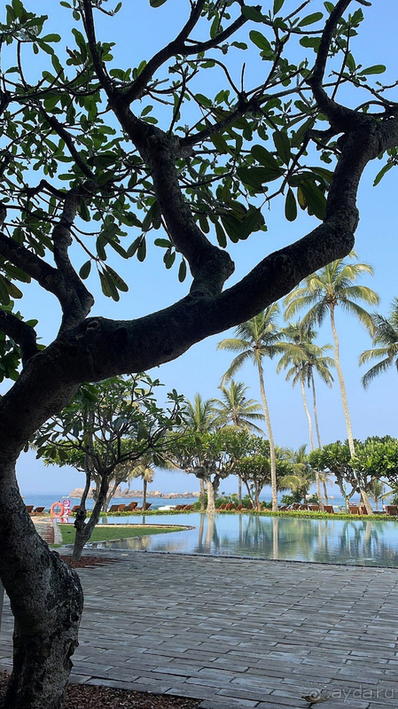 Отличный отель на Шри-Ланке на берегу океана