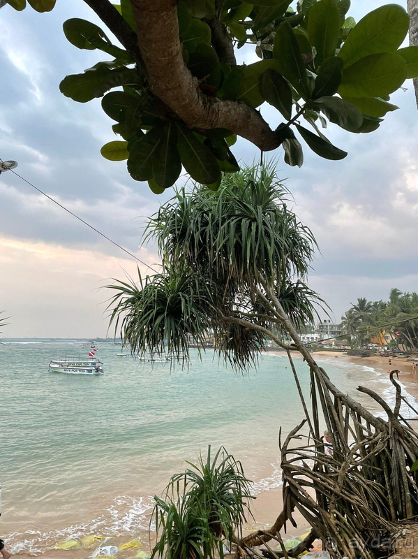 Отличный отель на Шри-Ланке на берегу океана