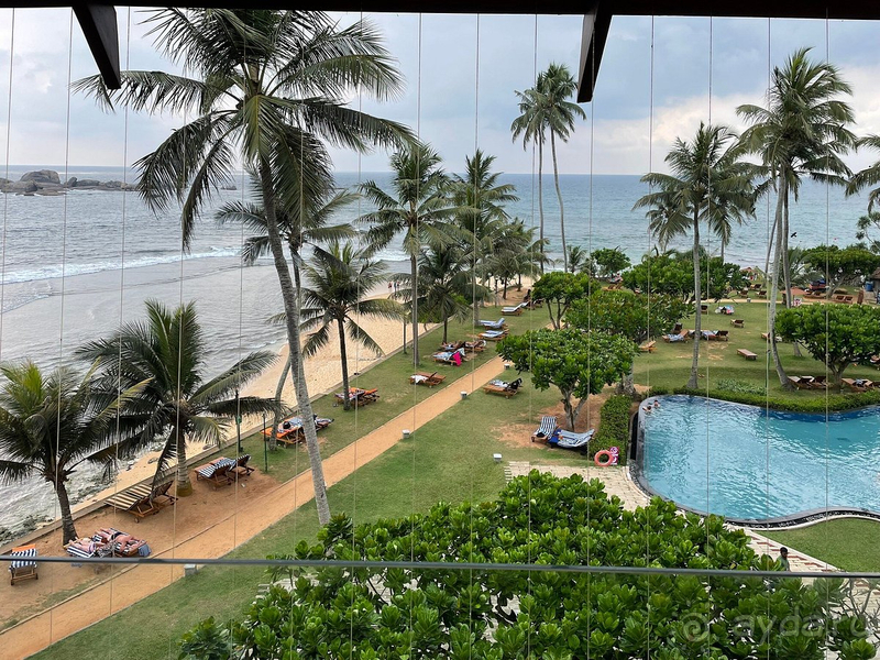 Отличный отель на Шри-Ланке на берегу океана