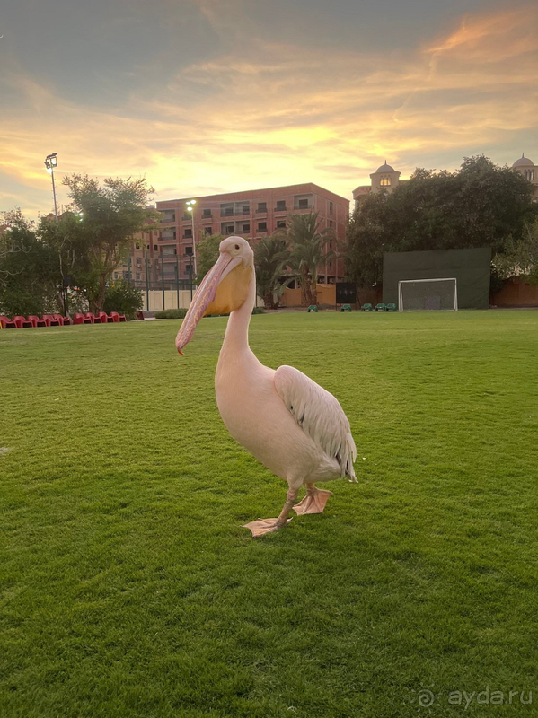 Великолепный отель!