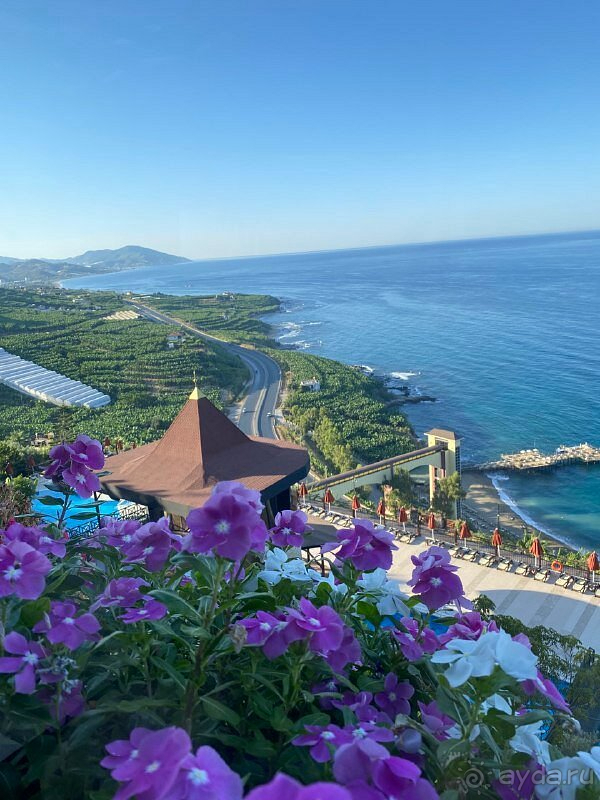 Планируем вернуться следующим летом