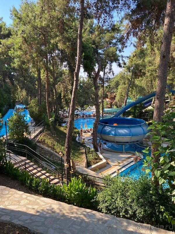 Планируем вернуться следующим летом