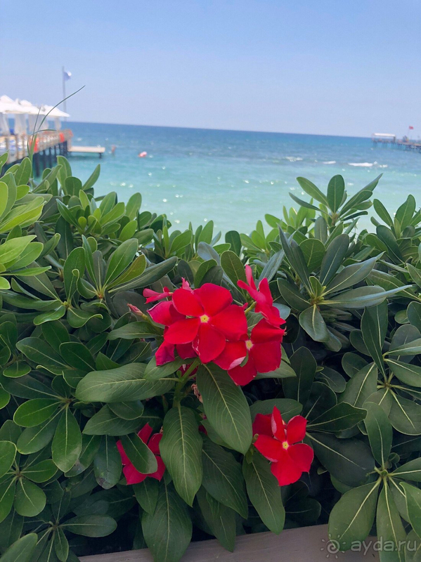 Прекрасный отдых!