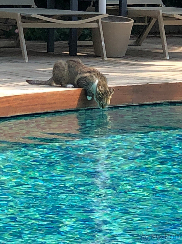 Прекрасный отдых!