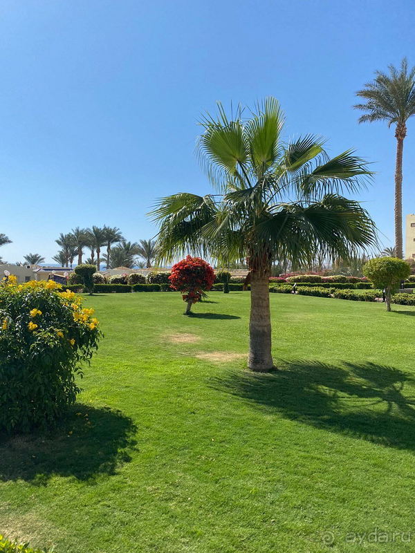 Grand Oasis - отличный отель. 