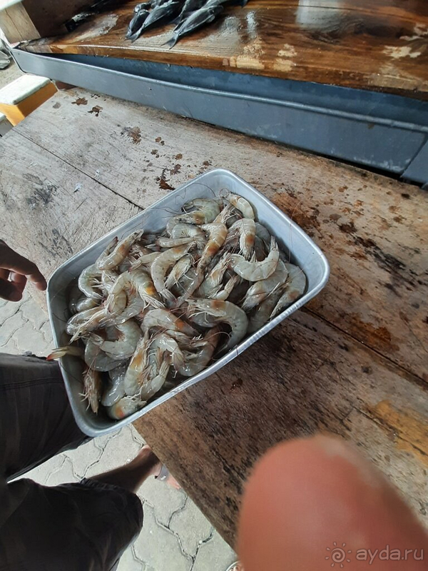 Отель рекомендуем! Отель рекомендуем!