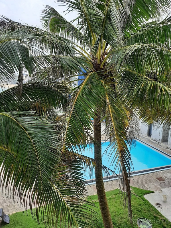 Отель рекомендуем!