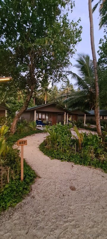 Жалеем, что раньше не отдыхали на Мальдивах