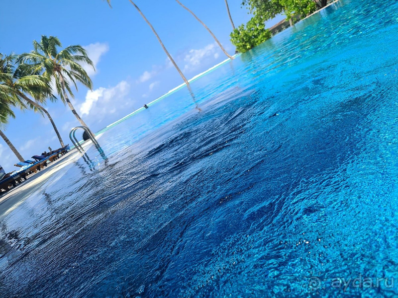 Жалеем, что раньше не отдыхали на Мальдивах