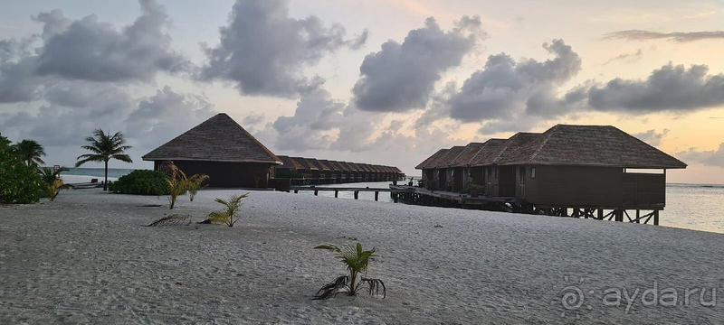 Жалеем, что раньше не отдыхали на Мальдивах